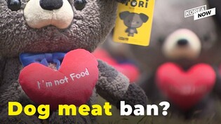 South Korea mulls possible dog meat ban ahead of election