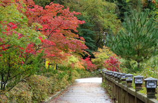 Deepening autumn
