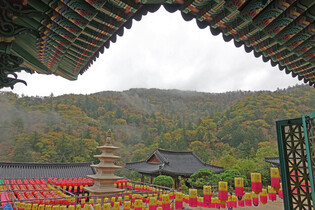 Autumn foliage in S. Korea