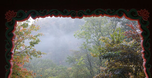 Autumn foliage in S. Korea