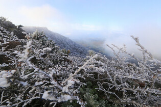 Early onset of winter
