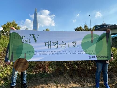 BTS fans, environmental group build forest along Han River in honor of BTS member V