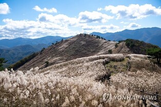 Peak of Mindungsan mountain glitter with silver grass