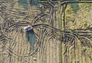 Traces of harvesting