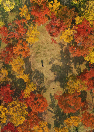 Deepening autumn