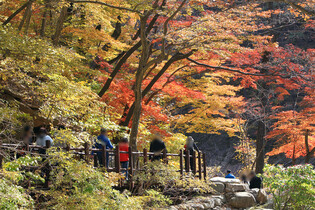 Mount Seorak in fall