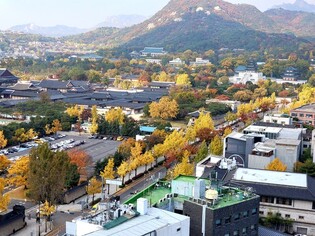Autumn foliage in Gyeongbokgung Palace