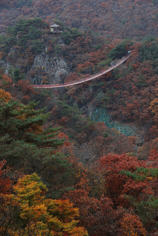 Deepening autumn
