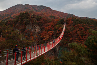 Deepening autumn