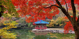Spectacular view of Naejangsan Mountain scenery