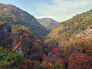 Autumn foliage in southwestern S. Korea