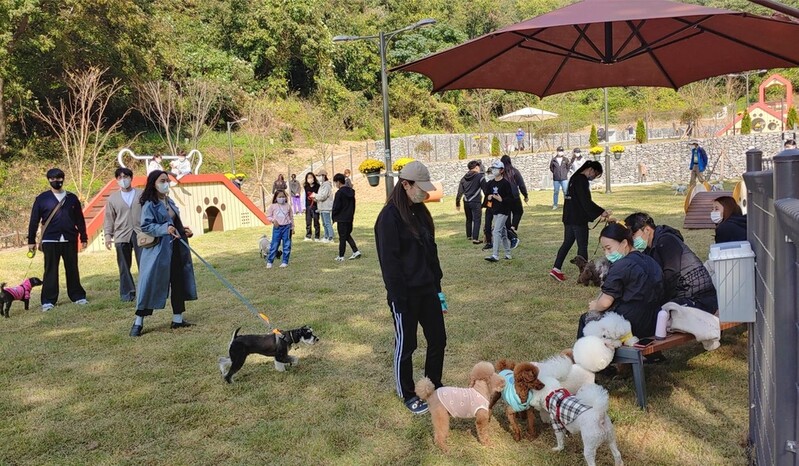 목포 부주산 반려동물 놀이터, 개장 초부터 인기몰이