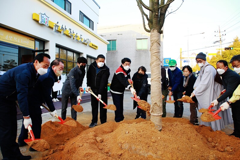 국내 유일 서산 개심사 청벚꽃 인근 도로변서도 본다