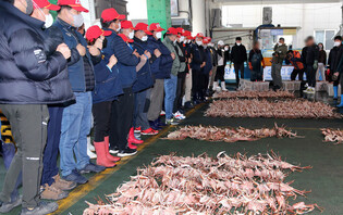 Queen crab auction at S. Korean port