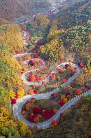 Deepening autumn