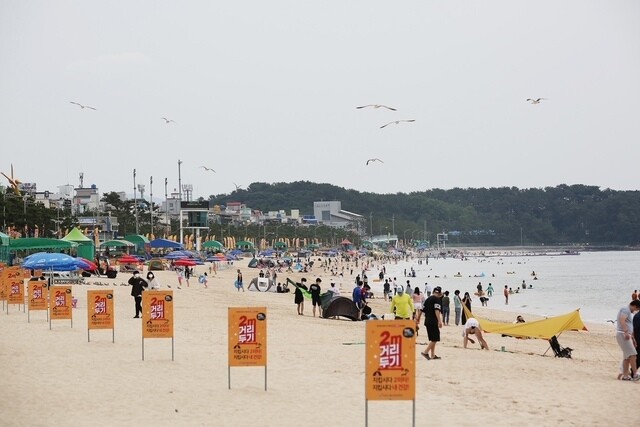 대천해수욕장, 전국 10대 욕장 중 40∼50대 선호도 가장 높아