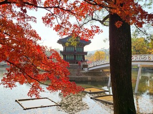 Royal palace's Hyangwonjeong Pavillion restored
