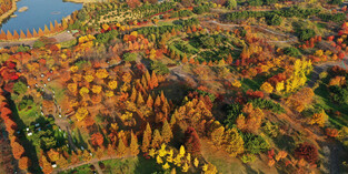 Colorful  Autumn