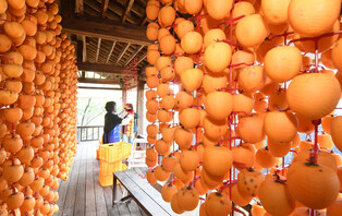 A busy farmhouse making gotgam