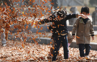 Playing with fallen leaves