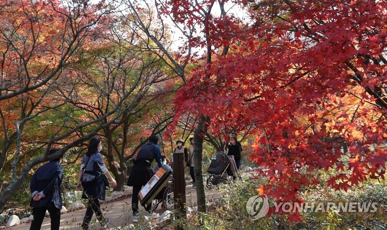 단풍 절정 내장산 '인산인해'…하루 4만여명 찾을 듯