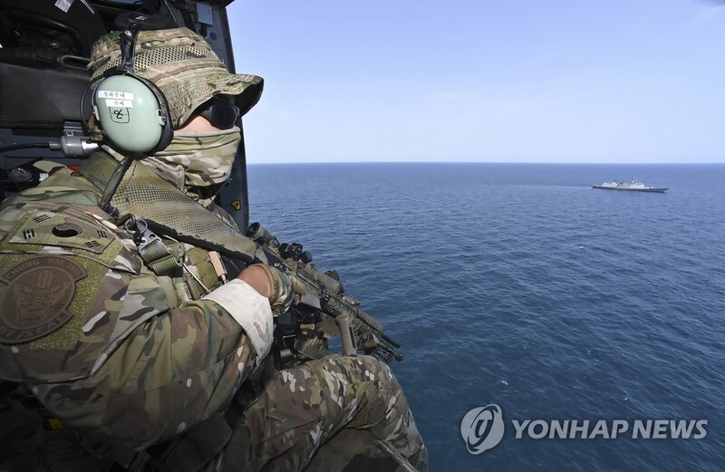 Pirate attacks on S. Korean ships down amid anti-piracy efforts off western Africa