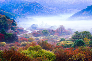 'Secret Garden' in Inje-gun