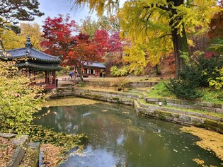 Autumn in palace reaches final phase