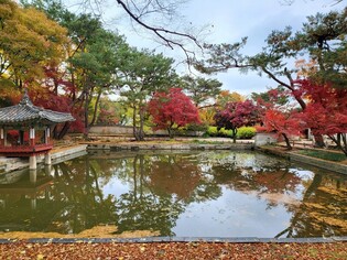 Autumn in palace reaches final phase