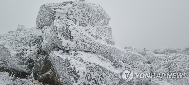 [픽! 무주] 덕유산은 벌써 '겨울 왕국'