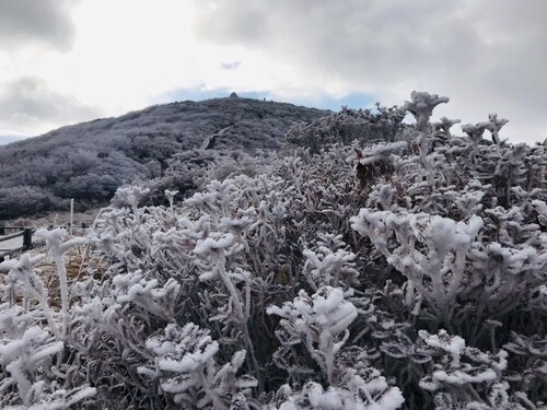 겨울이 성큼…지리산·무등산에 올가을 첫 상고대(종합)