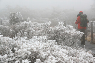 1st snow on Mt. Halla