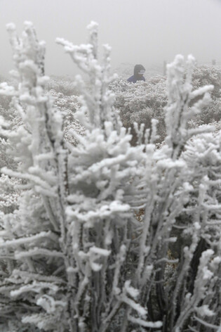 1st snow on Mt. Halla