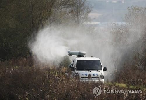 S. Korea reports more suspected cases of highly pathogenic bird flu at local farm
