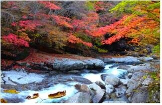 "한번 타보세요"…지리산 단풍·드라마 세트장 관람 셔틀버스