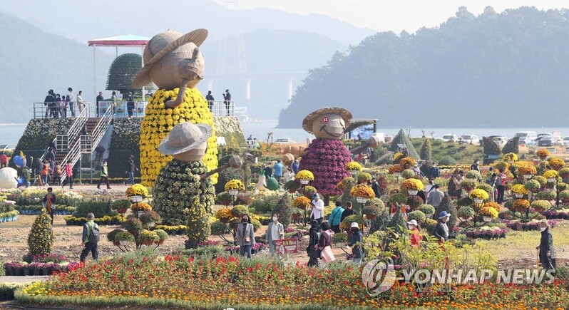마산국화축제 50만명 찾아…180억원 경제 유발효과