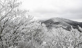 Snowfall in Jirisan Mountain