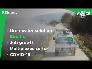 60 second news (Nov. 11)