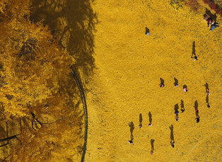 Late fall
