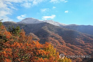 Autumn and winter in harmony