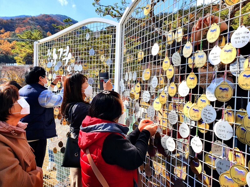 [카메라뉴스] 문경새재 주변에 '수능 대박' 기원패 3천 개 걸려