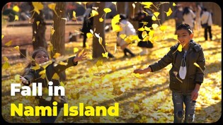 The secret behind Korea's top photo spot for fall, Nami Island!