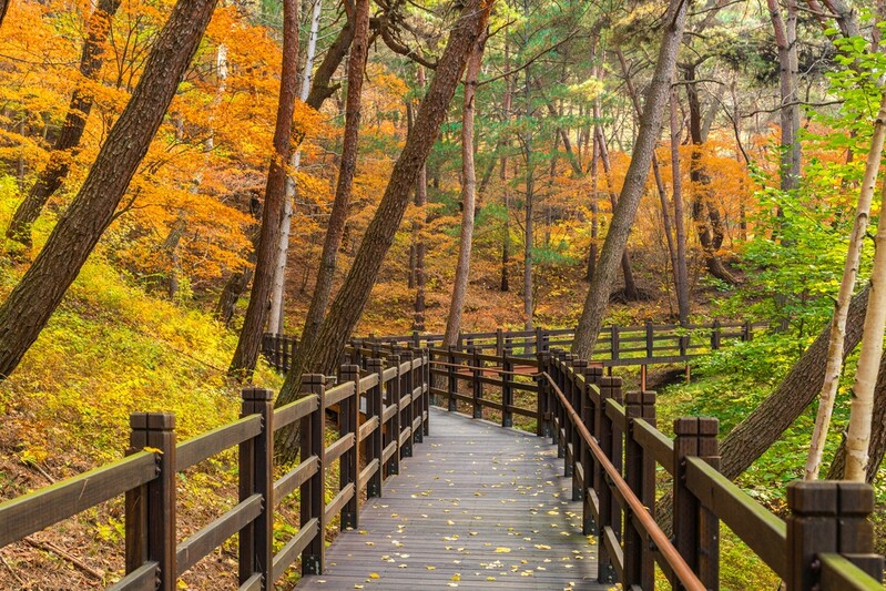 '관광공사 추천'…늦가을∼초겨울 걷기좋은 강원도길 3곳은