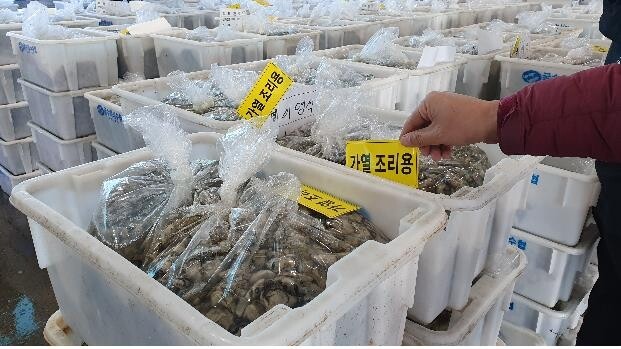 거제 굴·여수 피조개에서 노로바이러스 검출…출하 연기 권고