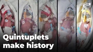 South Korea’s first quintuplets in 34 years