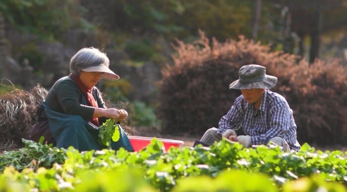 [방송소식] KBS 7부작 다큐 '자연의 철학자들' 내달 첫 방송