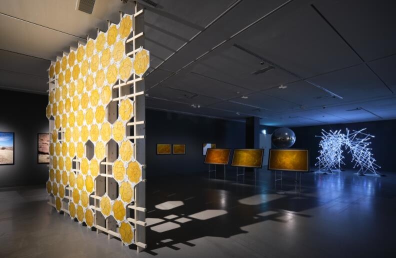 인간 중심에서 벗어나기…국립현대미술관 생태미술전