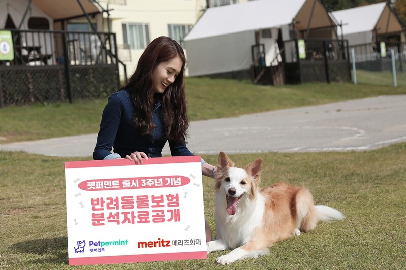 메리츠화재 "반려동물 보험금 지급액 '슬개골 탈구' 가장 많아"