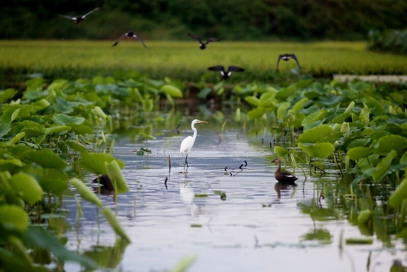 울산시, '생물다양성 사진 전시회' 개최…36점 전시