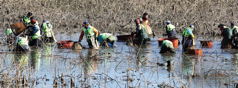 어업 유산 명맥 잇는 100년 전통 강진군 병영면 가래치기
